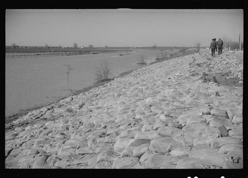 Untitled photo, possibly related to: The Bessie Levee augmented with sand bags during the 1937 flood. Near Tiptonville, Tennessee