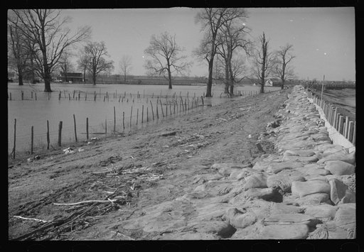 The Bessie Levee augmented with sand bags during the 1937 flood. Near Tiptonville, Tennessee