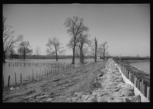 Untitled photo, possibly related to: The Bessie Levee augmented with sand bags during the 1937 flood. Near Tiptonville, Tennessee