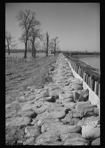 Untitled photo, possibly related to: The Bessie Levee augmented with sand bags during the 1937 flood. Near Tiptonville, Tennessee