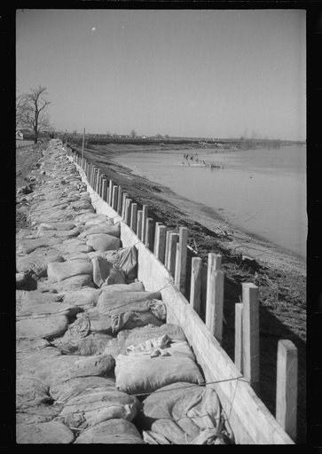 The Bessis Levee, along a subsidiary of the Mississippi River. The levee has been augmented with sand bags during the 1937 flood