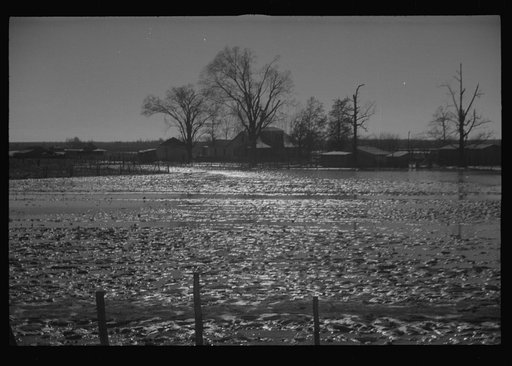 Untitled photo, possibly related to: The Bessis Levee, along a subsidiary of the Mississippi River, near Tiptonville, Tennessee. The levee has been augmented with sand bags during the 1937 flood