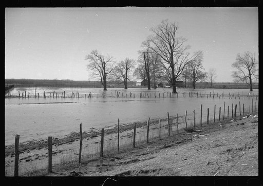 Untitled photo, possibly related to: The Bessis Levee, along a subsidiary of the Mississippi River, near Tiptonville, Tennessee. The levee has been augmented with sand bags during the 1937 flood