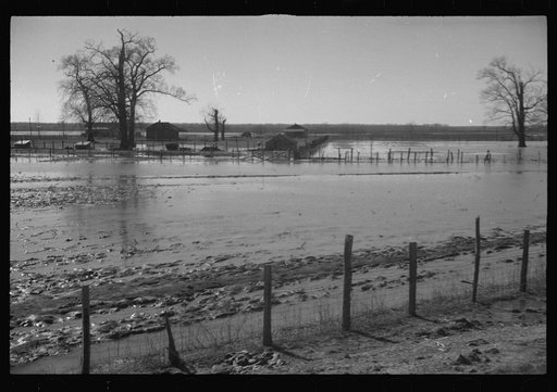 Untitled photo, possibly related to: The Bessis Levee, along a subsidiary of the Mississippi River, near Tiptonville, Tennessee. The levee has been augmented with sand bags during the 1937 flood