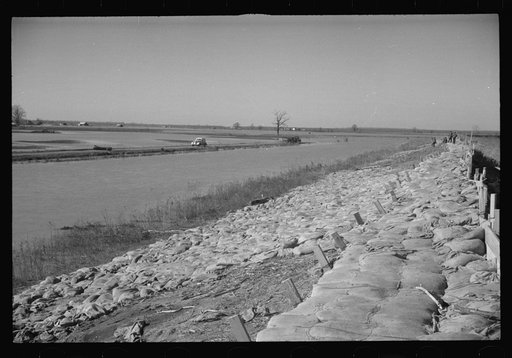 Untitled photo, possibly related to: The Bessis Levee, along a subsidiary of the Mississippi River, near Tiptonville, Tennessee. The levee has been augmented with sand bags during the 1937 flood
