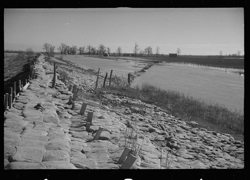 The Bessis Levee, along a subsidiary of the Mississippi River, near Tiptonville, Tennessee. The levee has been augmented with sand bags during the 1937 flood
