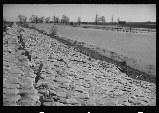 Untitled photo, possibly related to: The Bessis Levee, along a subsidiary of the Mississippi River, near Tiptonville, Tennessee. The levee has been augmented with sand bags during the 1937 flood