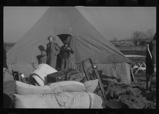 Untitled photo, possibly related to: Setting up a tent in the camp for white flood refugees, Forrest City, Arkansas