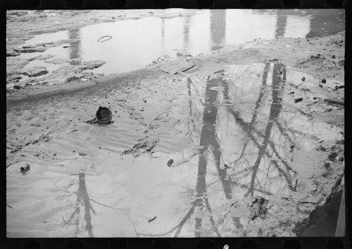 Untitled photo, possibly related to: Farmyard covered with flood waters near Ridgeley, Tennessee