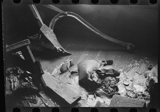 Untitled photo, possibly related to: Interior of a farmhouse near Ridgeley, Tennessee, after the 1937 flood waters had subsided