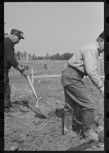 Untitled photo, possibly related to: Carpenter at the Greenbelt Project, Berwyn, Maryland