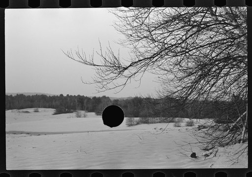 Untitled photo, possibly related to: Desert of Maine. Freeport. Sand covering grass