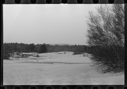 Untitled photo, possibly related to: Desert of Maine. Freeport. Sand covering grass