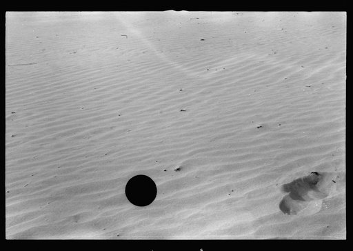 Desert of Maine. Freeport. Sand covering grass