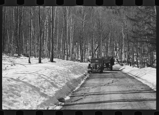 Resettlement Administration and Forest Service trucks in hardwoods, Bear Notch Road, New Hampshire