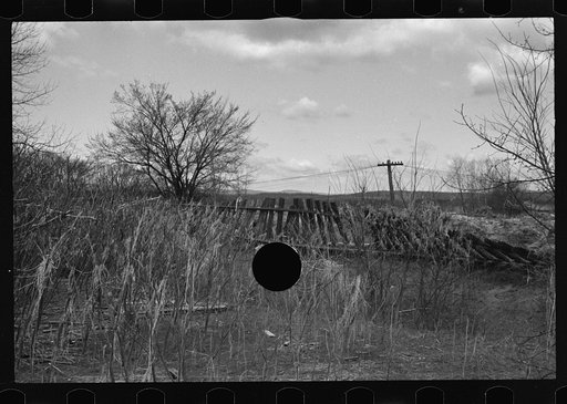 Untitled photo, possibly related to: Tobacco fields devastated by the Connecticut River near Northampton, Massachusetts