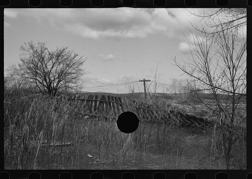 Untitled photo, possibly related to: Tobacco fields devastated by the Connecticut River near Northampton, Massachusetts
