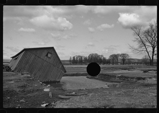 Untitled photo, possibly related to: Tobacco fields devastated by the Connecticut River near Northampton, Massachusetts
