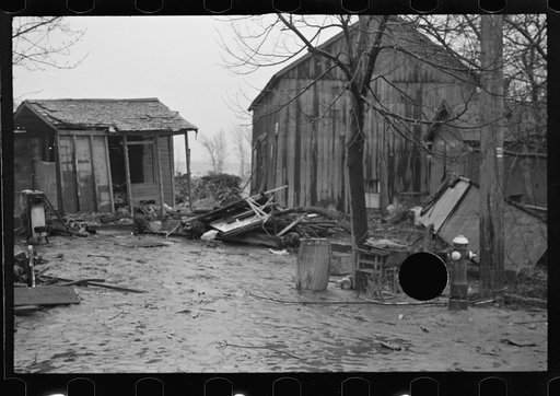 Untitled photo, possibly related to: Tobacco fields devastated by the Connecticut River near Northampton, Massachusetts