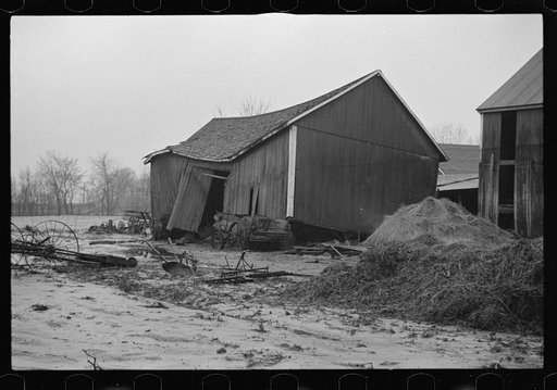 Barn of client after the Connecticut River had subsided, Hatfield, Massachusetts