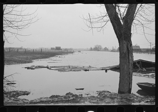 Untitled photo, possibly related to: Tobacco fields devastated by the Connecticut River near Northampton, Massachusetts
