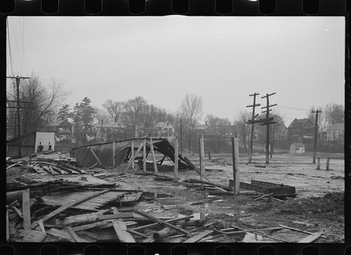 Untitled photo, possibly related to: Destruction caused by disease-infected waters of the Connecticut River. The owner has received a grant. Near Hatfield, Massachusetts