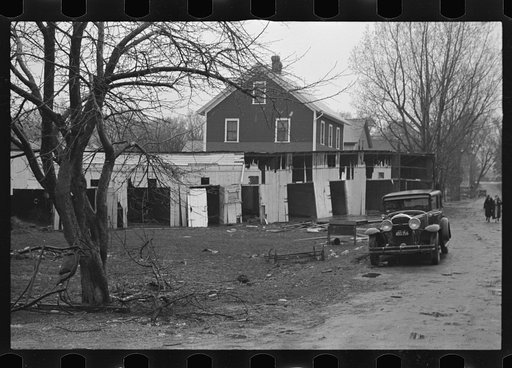 Untitled photo, possibly related to: Destruction caused by disease-infected waters of the Connecticut River. The owner has received a grant. Near Hatfield, Massachusetts
