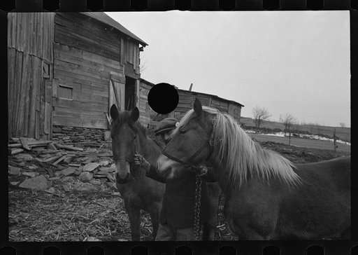Untitled photo, possibly related to: Resettlement workers near Kingston, New York, Ulster County