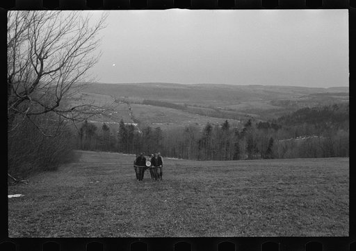 Resettlement workers removing log, vicinity of Kingston, New York, Ulster County