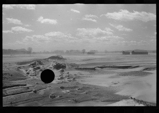 Untitled photo, possibly related to: Tobacco lands after the Connecticut River had subsided near Hatfield, Massachusetts