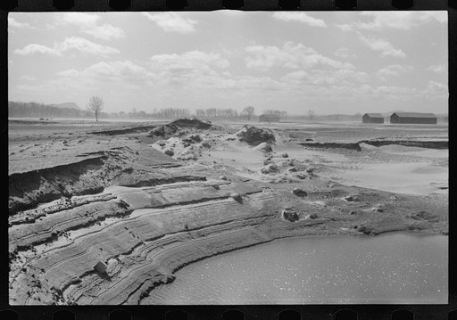 Tobacco lands after the Connecticut River had subsided near Hatfield, Massachusetts