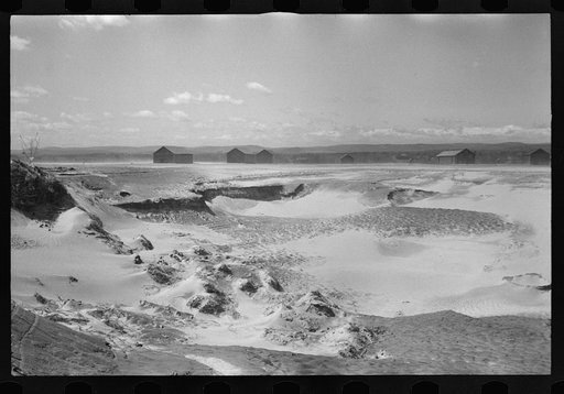Untitled photo, possibly related to: Tobacco lands after the Connecticut River had subsided near Hatfield, Massachusetts