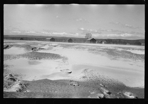 Untitled photo, possibly related to: Tobacco lands after the Connecticut River had subsided near Hatfield, Massachusetts