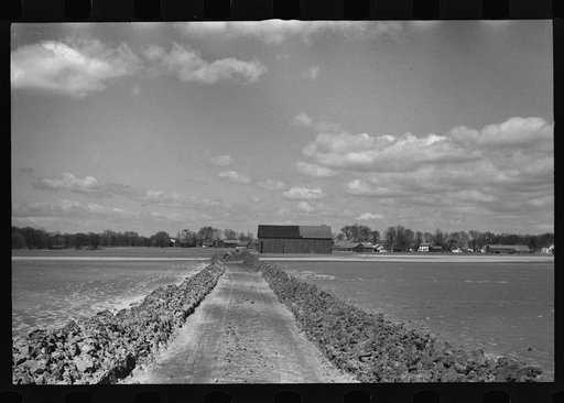 Untitled photo, possibly related to: Tobacco lands after the Connecticut River had subsided near Hatfield, Massachusetts
