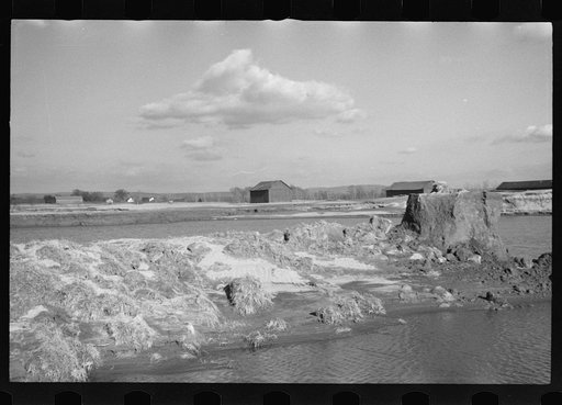 Untitled photo, possibly related to: After the Connecticut River had subsided near Hatfield, Massachusetts
