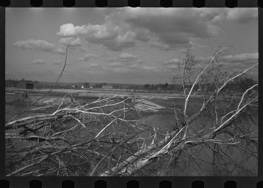 Untitled photo, possibly related to: After the Connecticut River had subsided near Hatfield, Massachusetts