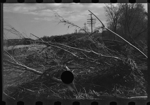 Untitled photo, possibly related to: After the Connecticut River had subsided near Hatfield, Massachusetts