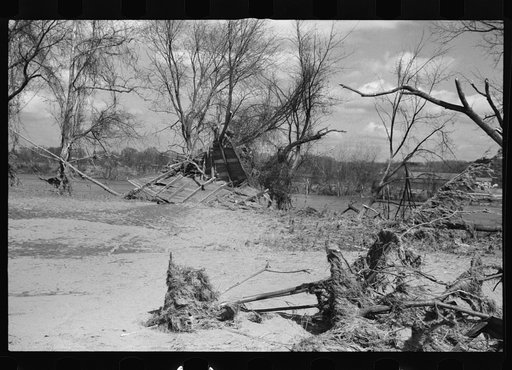 Untitled photo, possibly related to: After the Connecticut River had subsided near Hatfield, Massachusetts