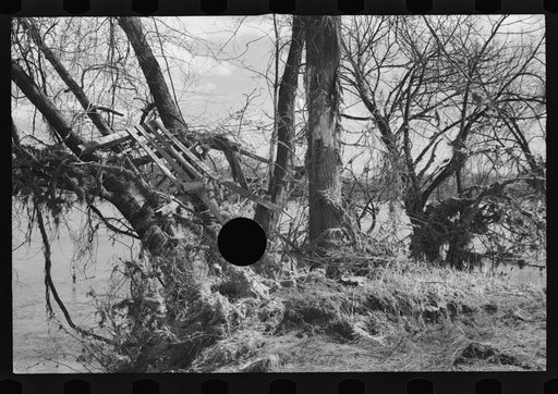 Untitled photo, possibly related to: After the Connecticut River had subsided near Hatfield, Massachusetts