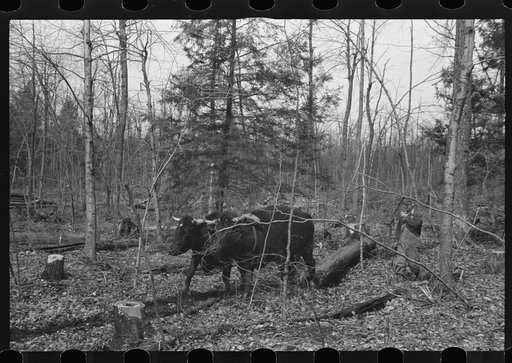 Untitled photo, possibly related to: Resettlement workers near Kingston, New York, Ulster County