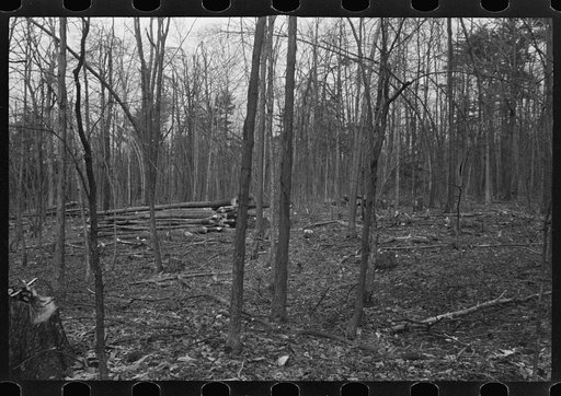 Untitled photo, possibly related to: Resettlement workers near Kingston, New York, Ulster County