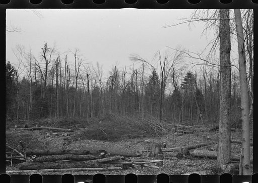 Untitled photo, possibly related to: Resettlement workers near Kingston, New York, Ulster County
