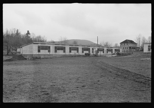 Untitled photo, possibly related to: Cart removing chicken manure at the farm of one of the members of the Jewish poultry cooperative, Liberty, New York