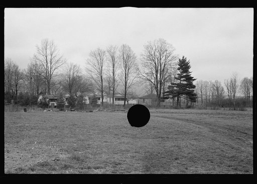 Untitled photo, possibly related to: Cart removing chicken manure at the farm of one of the members of the Jewish poultry cooperative, Liberty, New York