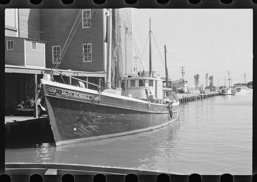 Fishing boats in harbor, Newport News, Virginia