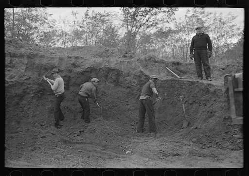 Untitled photo, possibly related to: William Singer, homesteader at Hightstown, New Jersey, helping to store corn for the dairy herd which is soon to be acquired by the colony