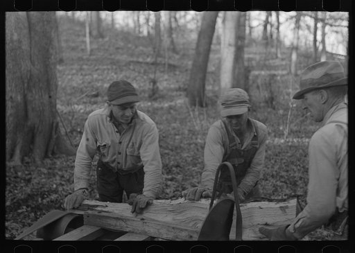 Untitled photo, possibly related to: Farmers sawing wood for fuel in timber near Aledo, Illinois