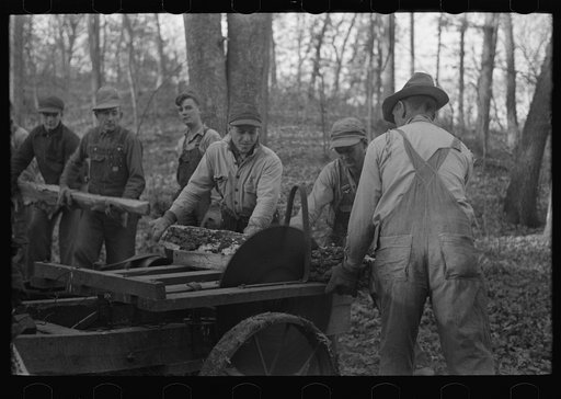 Farmers sawing wood for fuel in timber near Aledo, Illinois