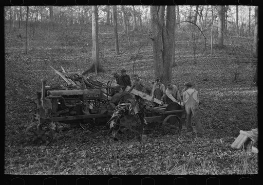 Untitled photo, possibly related to: Farmers sawing wood for fuel in timber near Aledo, Illinois