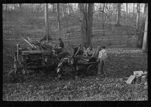 Untitled photo, possibly related to: Farmers sawing wood for fuel in timber near Aledo, Illinois